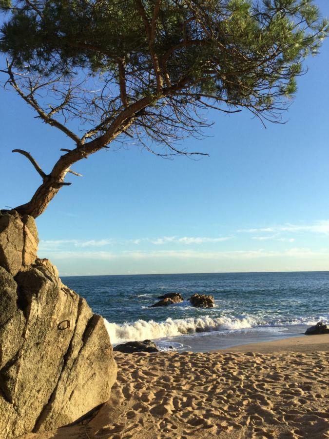 Politur Lejlighed Platja d'Aro Eksteriør billede