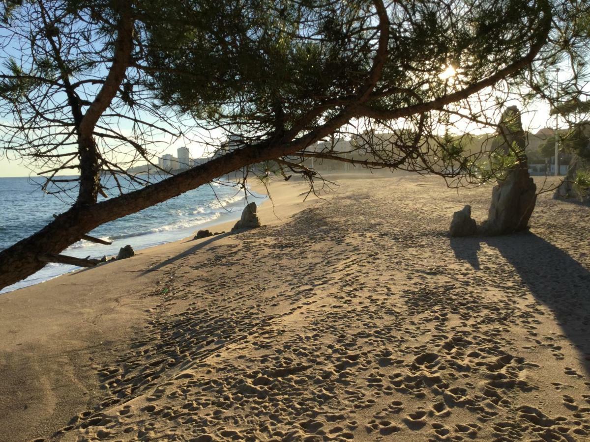 Politur Lejlighed Platja d'Aro Eksteriør billede
